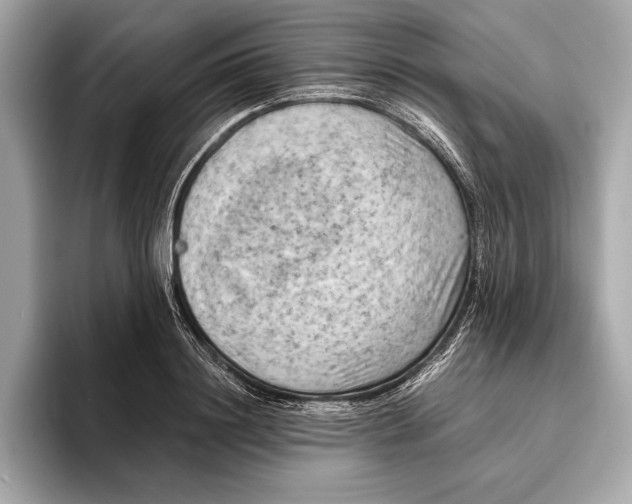 X0000096640844200802261256