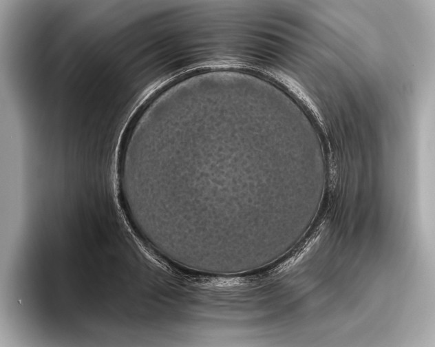 X0000096640845200802261256