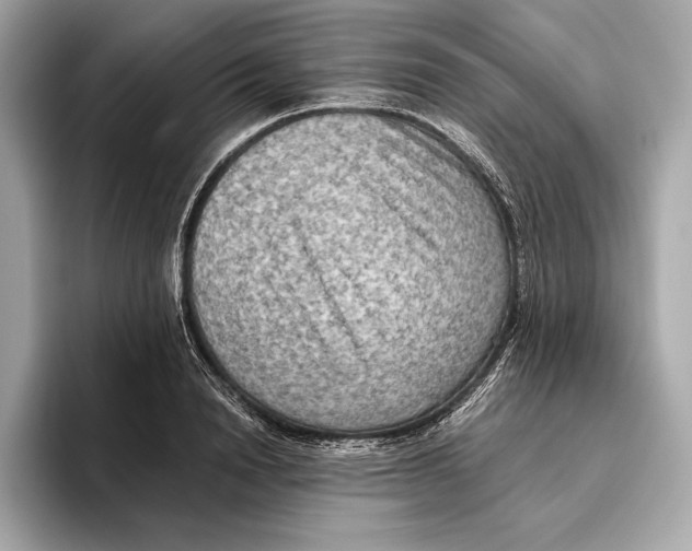 X0000096640846200802261256