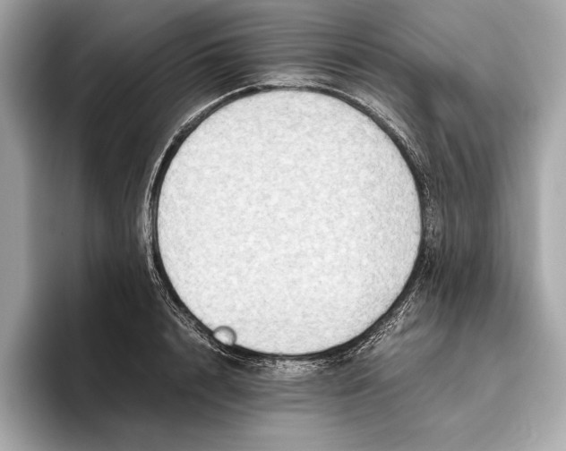 X0000096640848200802261256