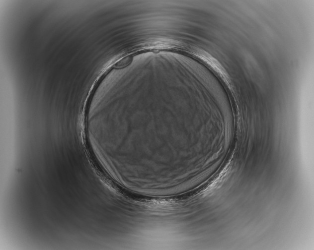 X0000096640850200802261256