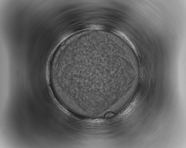 X0000096640851200802261256