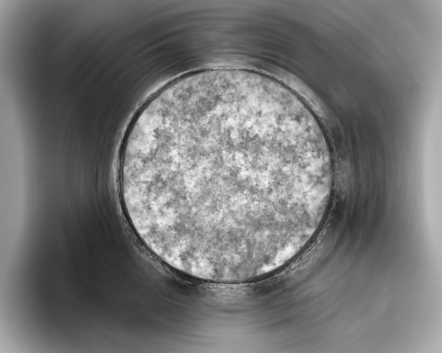 X0000096640856200802261256