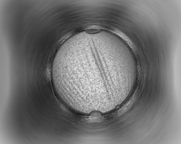 X0000096640857200802261256