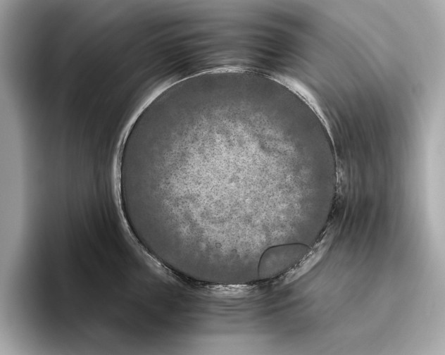 X0000096640859200802261256