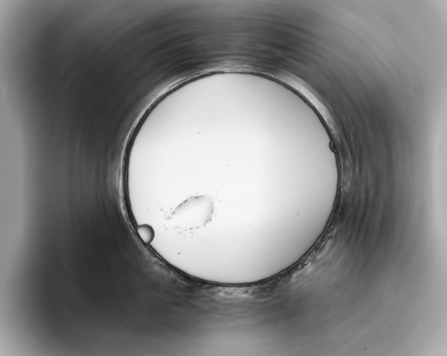 X0000096640861200802261256