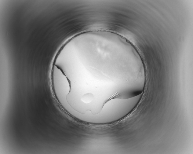 X0000096640864200802261256