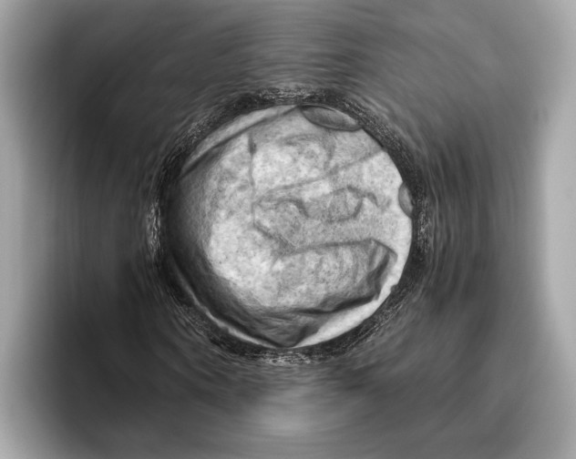 X0000096640866200802261256