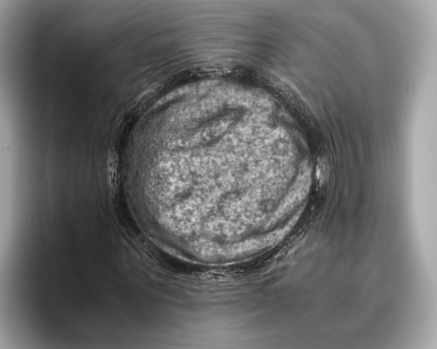 X0000096640867200802261256