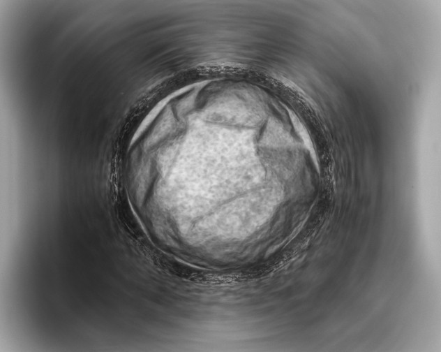 X0000096640870200802261256