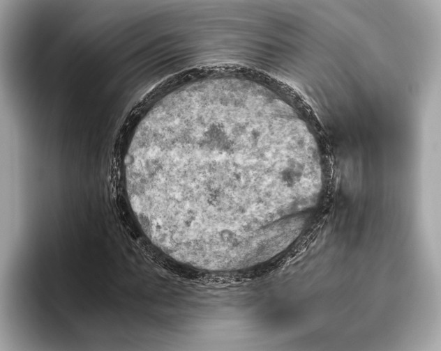 X0000096640871200802261256