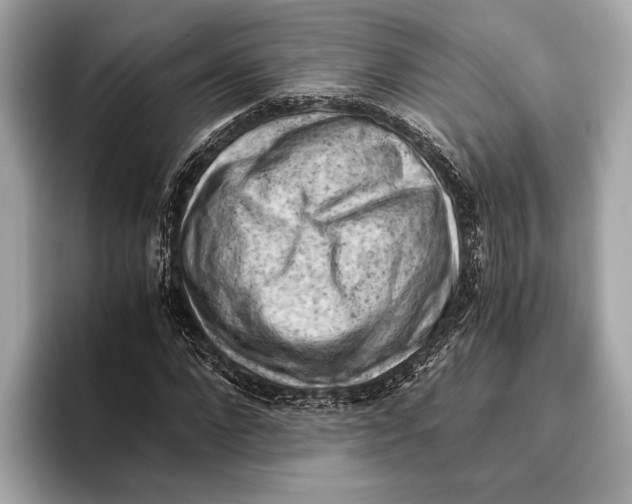 X0000096640872200802261256