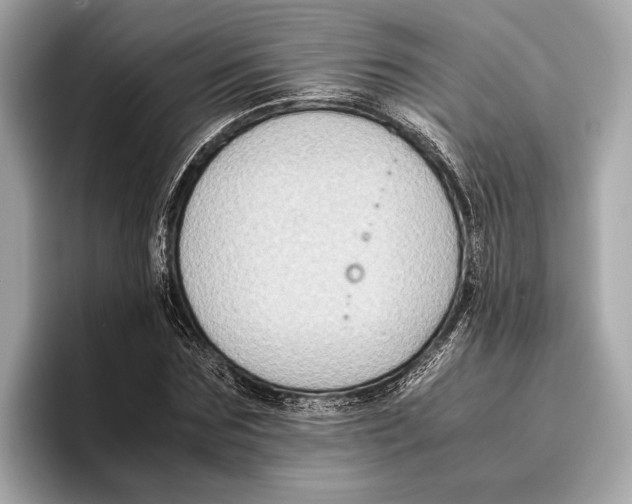 X0000096640875200802261256