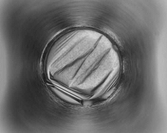 X0000096640876200802261255