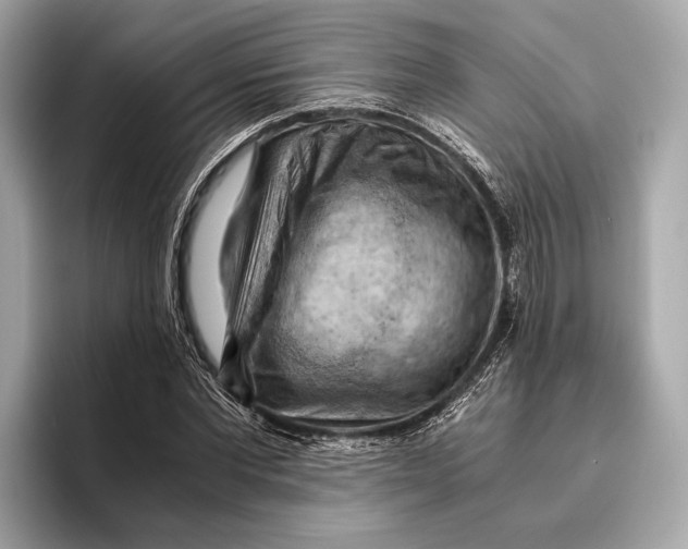 X0000096640877200802261255