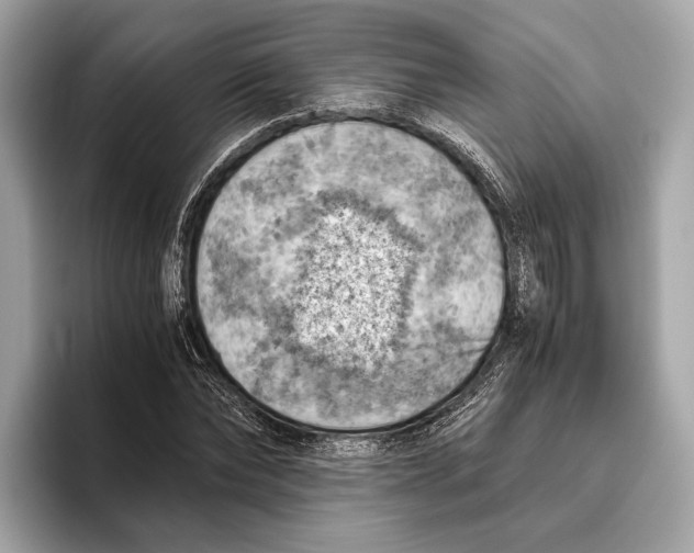 X0000096640878200802261255