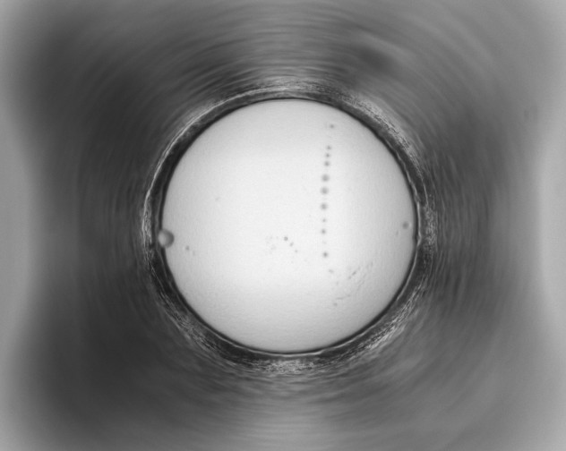 X0000096640883200802261255