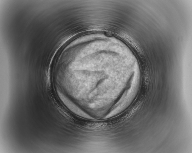 X0000096640884200802261255