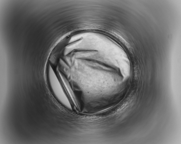 X0000096640885200802261255