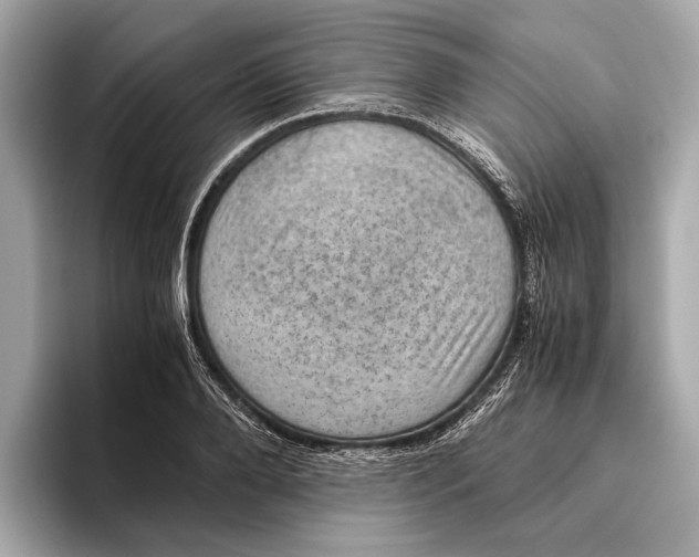 X0000096640888200802261255