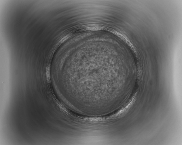 X0000096640889200802261255