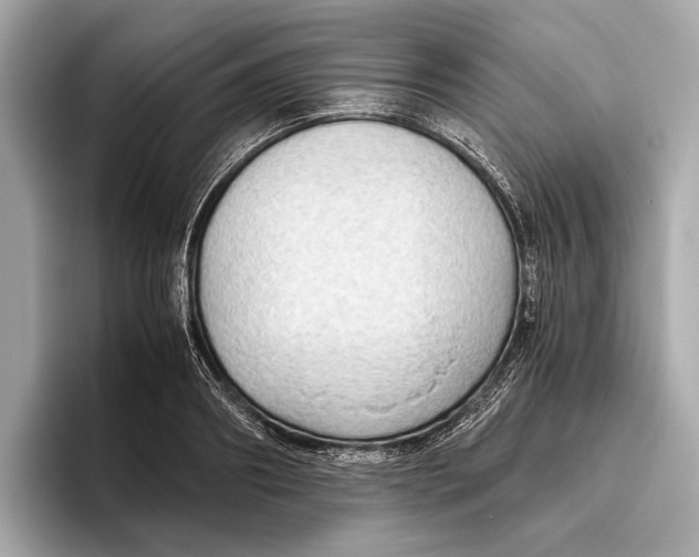 X0000096640890200802261255