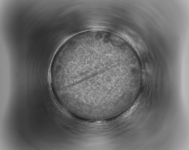 X0000096640891200802261255