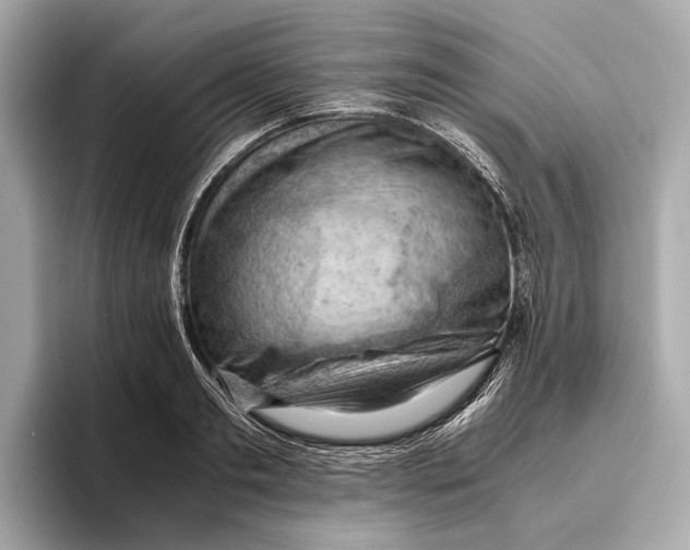 X0000096640893200802261255