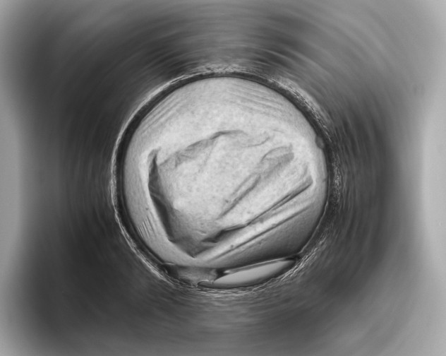 X0000096640894200802261255