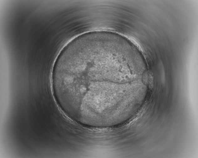 X0000096640895200802261255