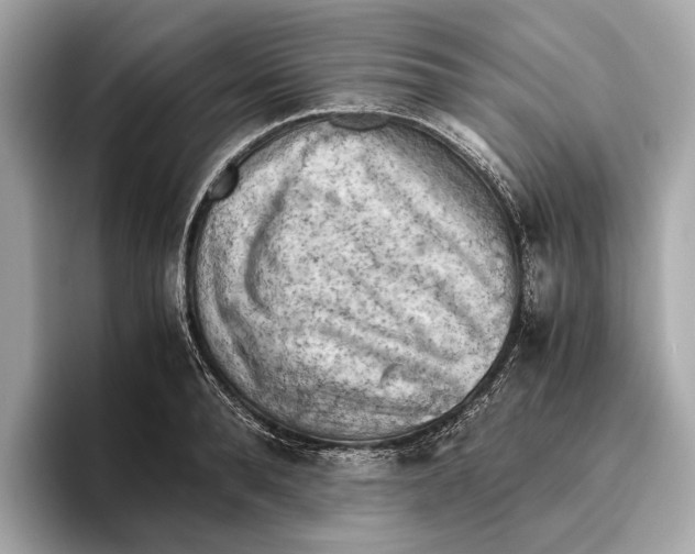 X0000096640896200802261255