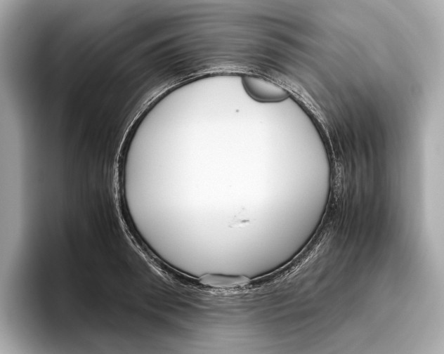 X0000096640898200802261255