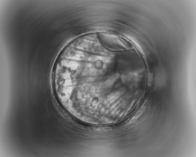 X0000096640899200802261255