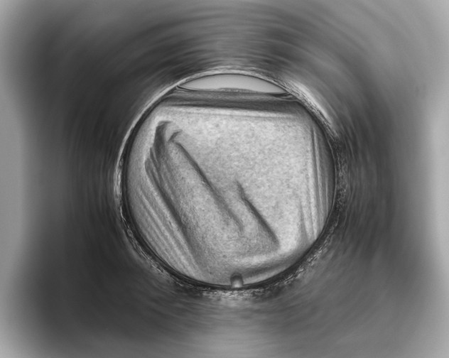 X0000096640900200802261255