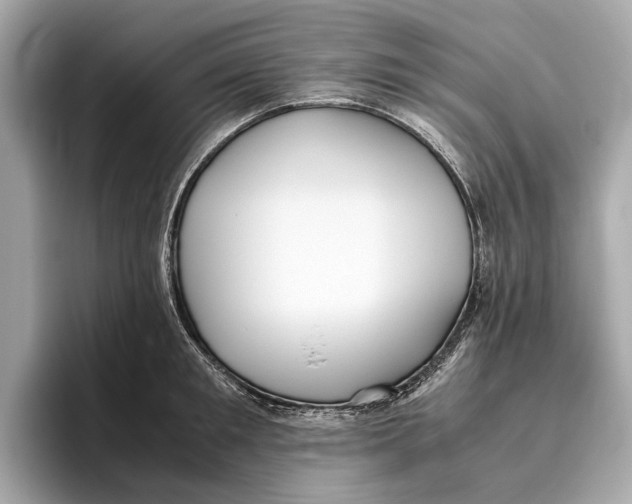 X0000096640901200802261255