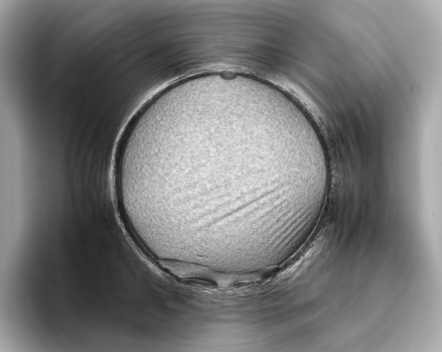 X0000096640902200802261255