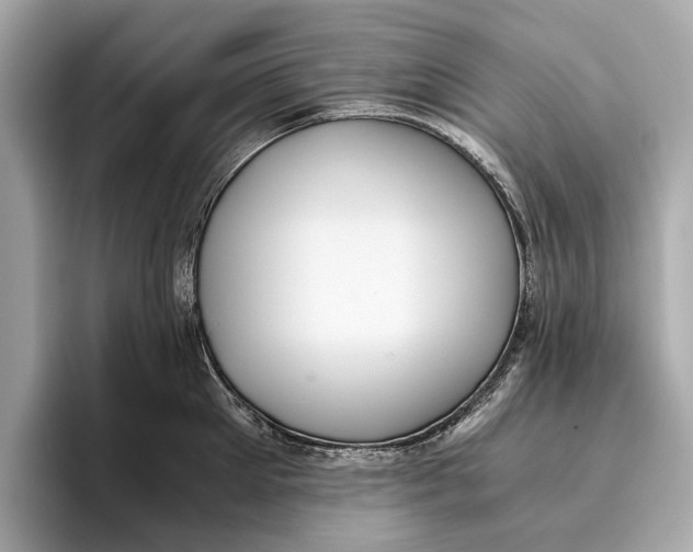 X0000096640905200802261255