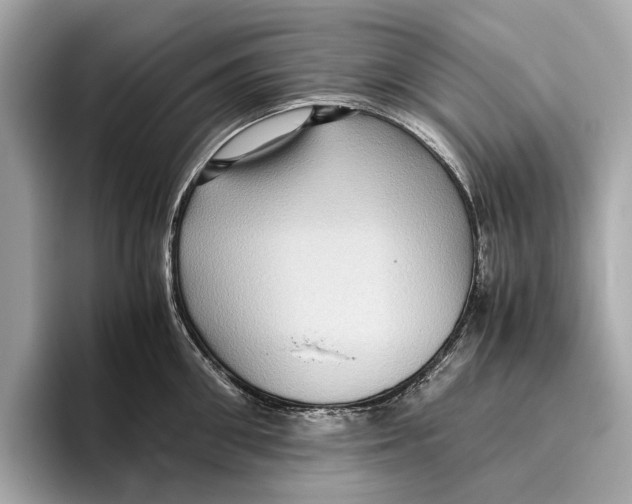 X0000096640906200802261255