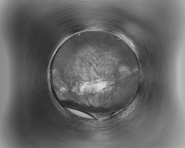 X0000096640907200802261255