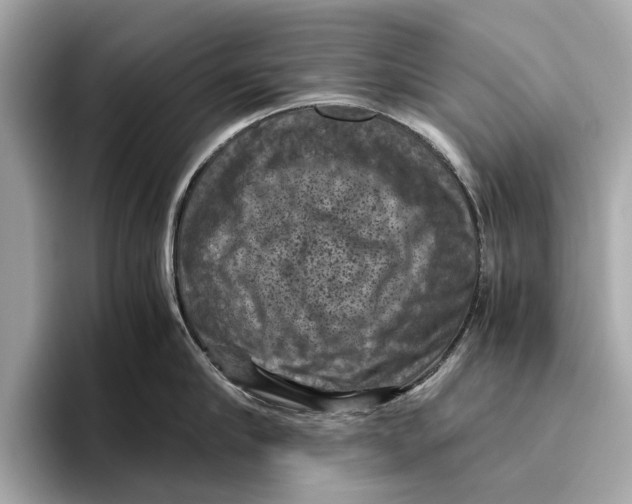 X0000096640910200802261255