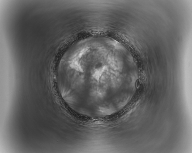 X0000096640913200802261254