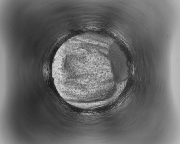 X0000096640915200802261254