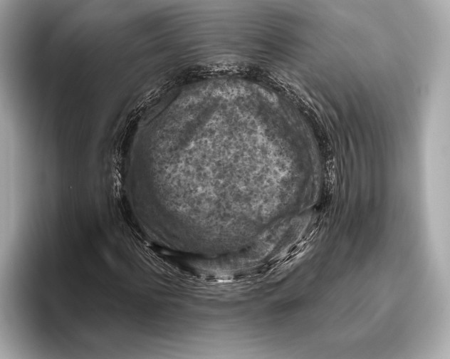 X0000096640916200802261254