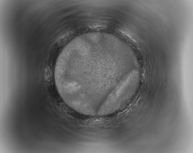 X0000096640917200802261254