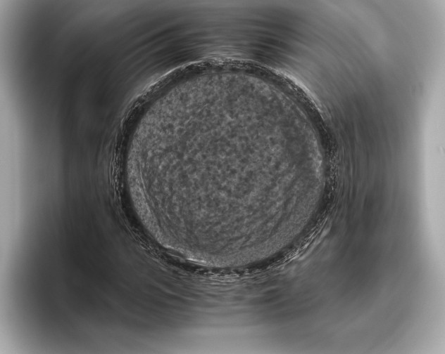 X0000096640919200802261254