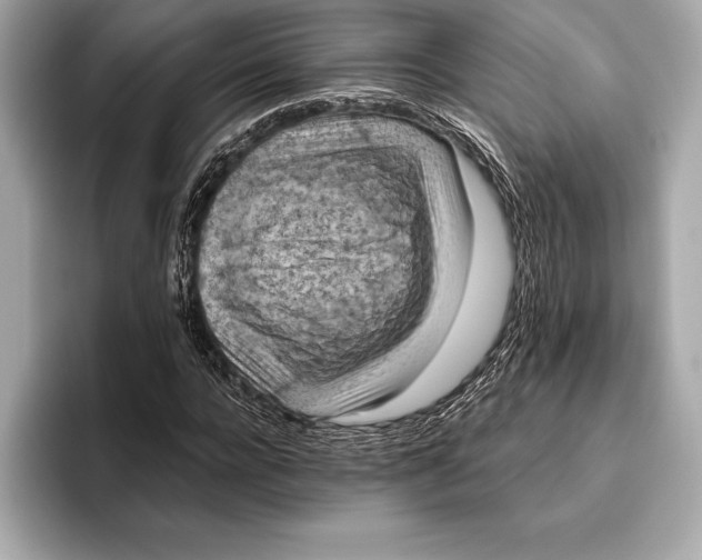 X0000096640920200802261254