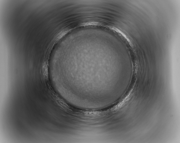 X0000096640921200802261254