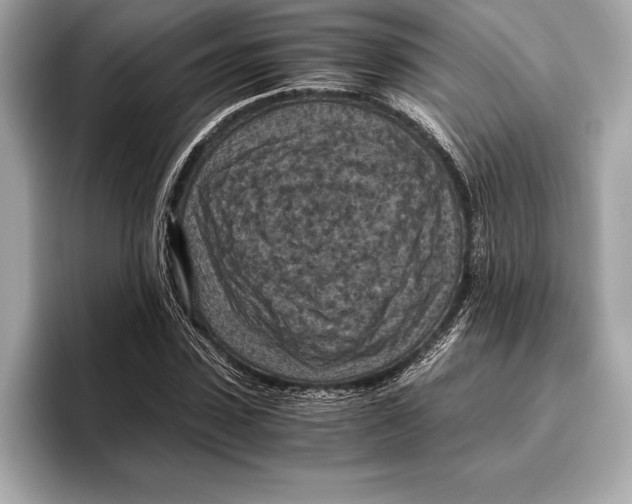 X0000096640923200802261254