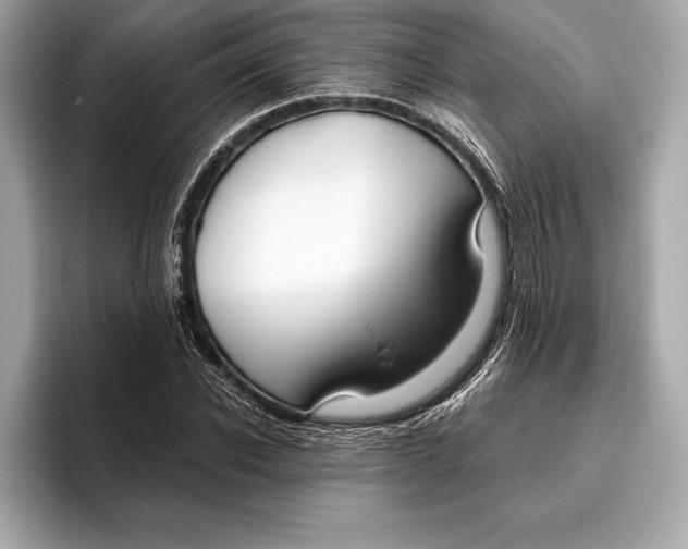 X0000096640926200802261254