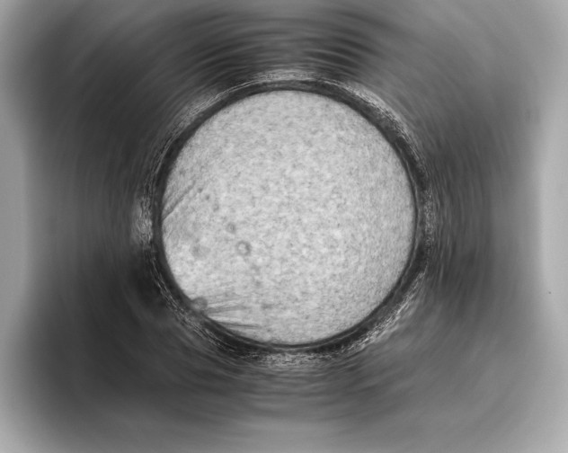 X0000096640929200802261254